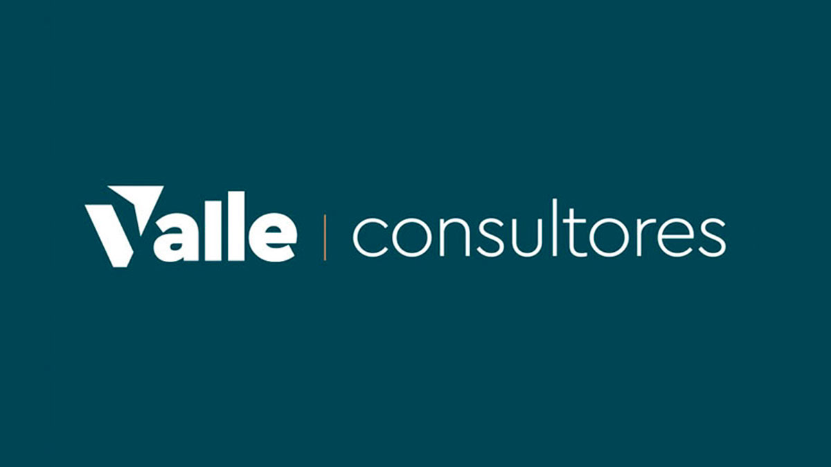 Valle Consultoria, Empreendimentos e Participacoes Ltda